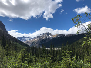 Castleguard Meadows via Saskatchewan Glacier Training Trip July 17th-19th, 2020